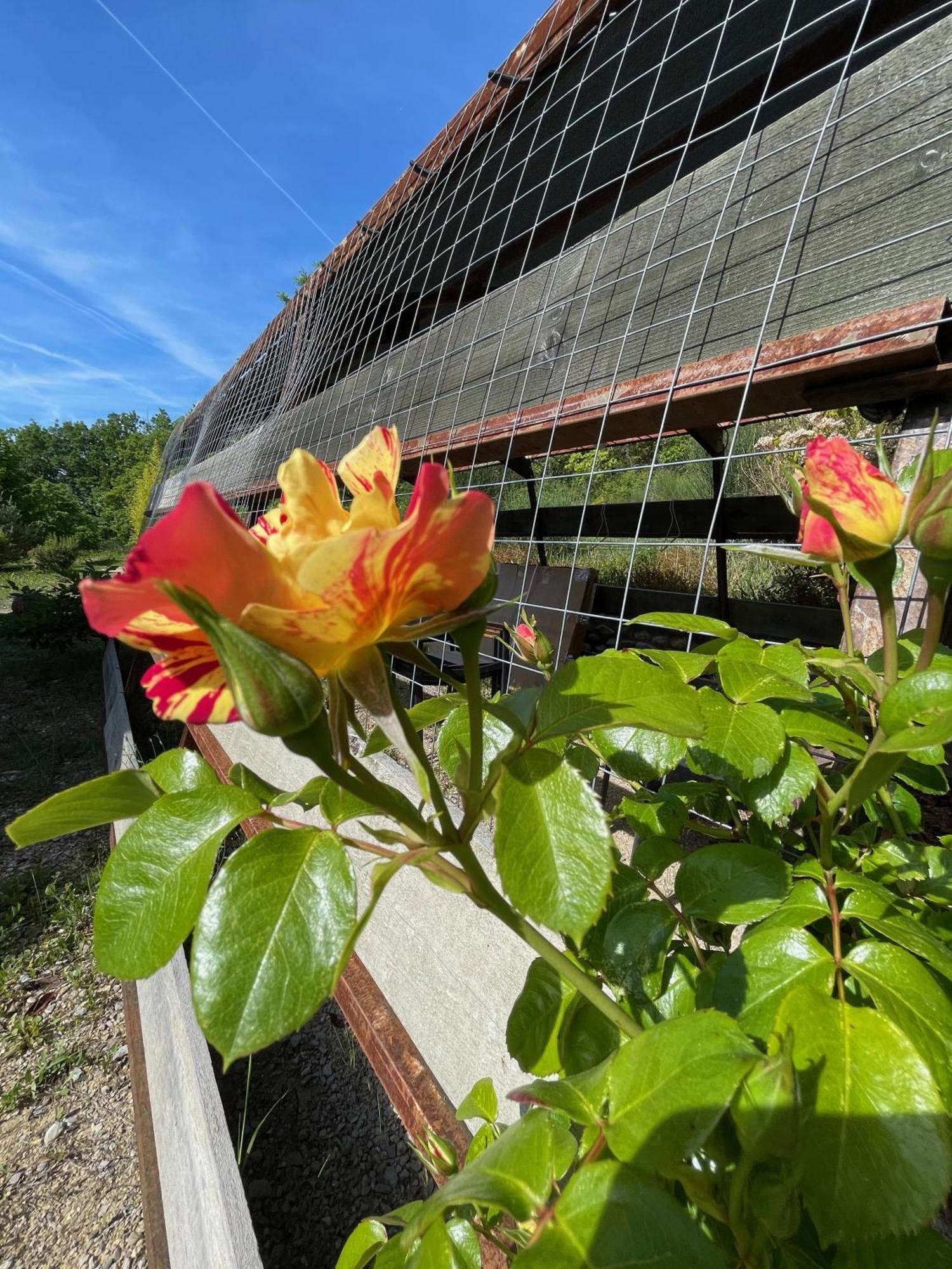 Pigeonnier Des Banons Bed & Breakfast Puimoisson Bagian luar foto