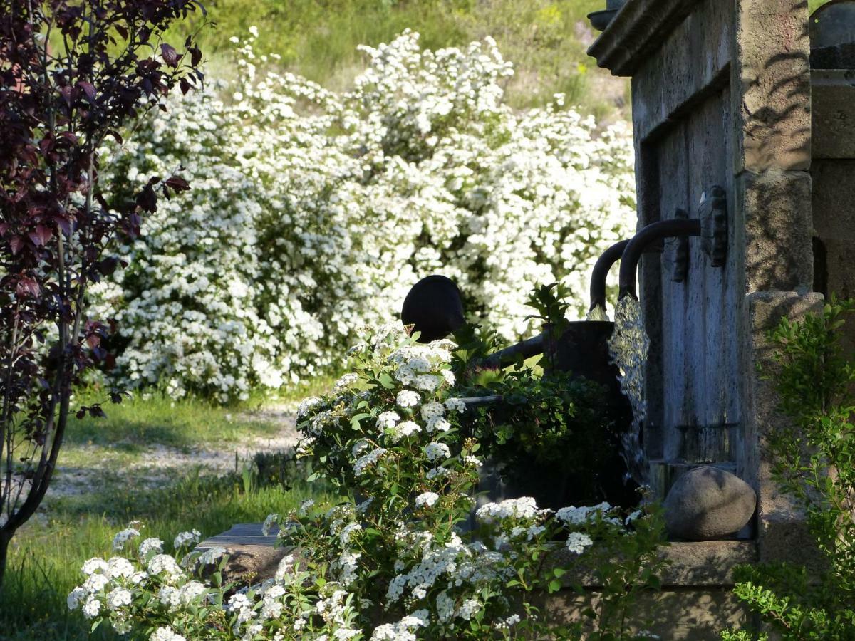 Pigeonnier Des Banons Bed & Breakfast Puimoisson Bagian luar foto